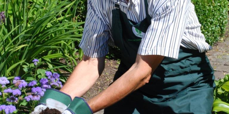 compost