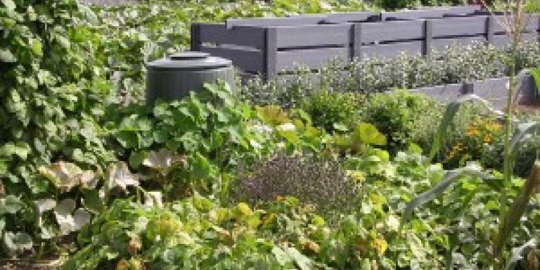 thuiscompost