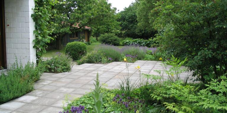planten