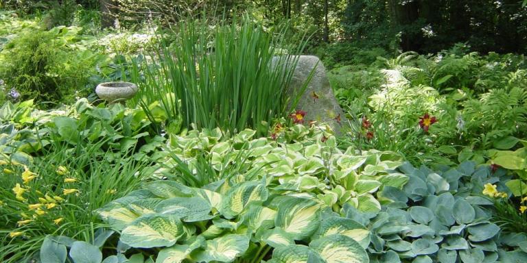 planten