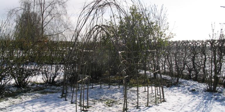 Winterse wilgenhut