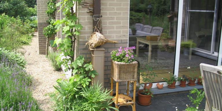 Terrasplanten in kleine tuin