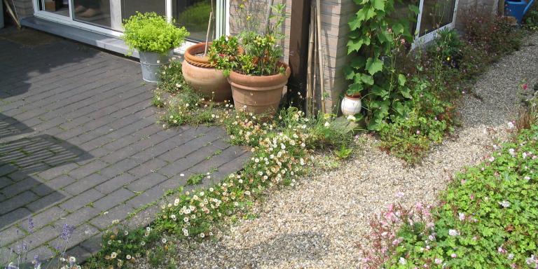 Terras in kleine tuin