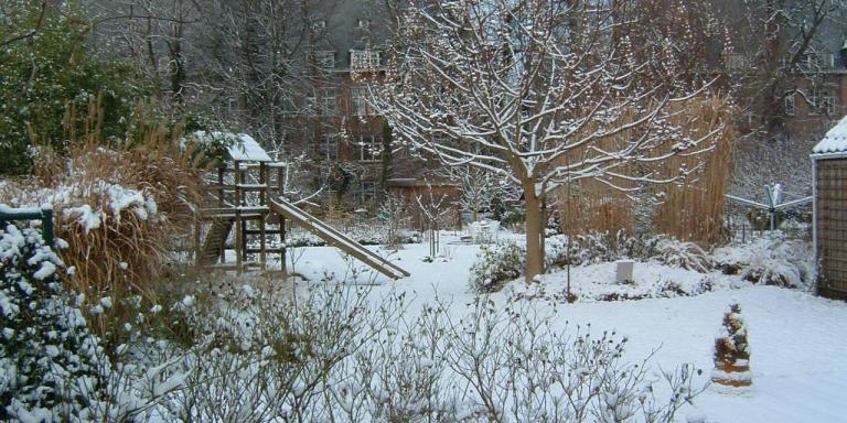 Wintertuin