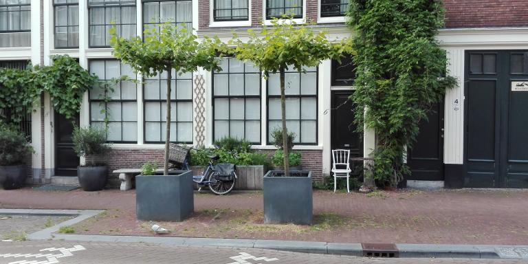 Trottoirgroen