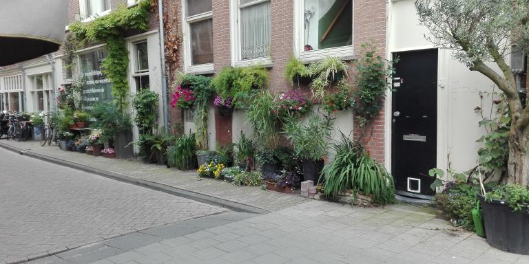 Gevelgroen