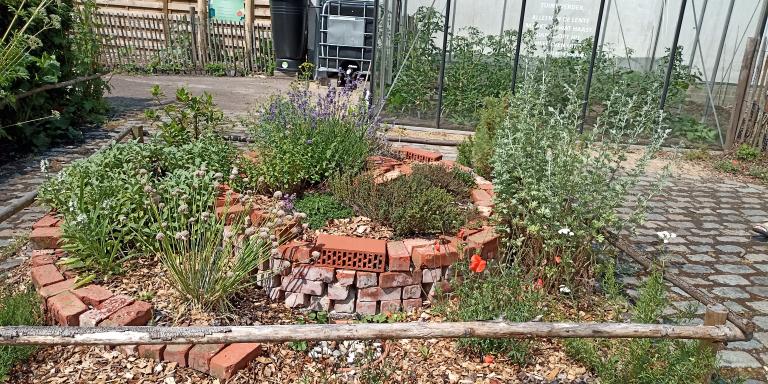 Kruidenspiraal in de Ambertuin