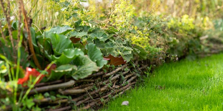 Moestuin in rust