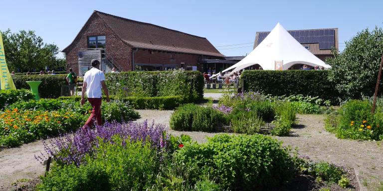 Terreinbeeld