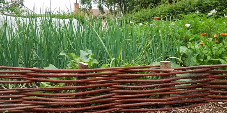 Moestuin met vlechtwerk