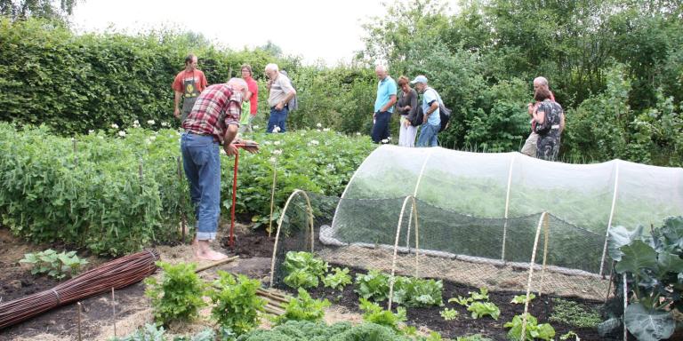 Moestuin met insectengaas