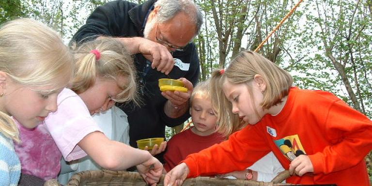 Naar compostdiertjes speuren